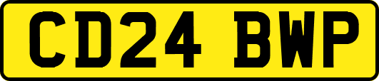 CD24BWP