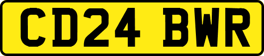 CD24BWR