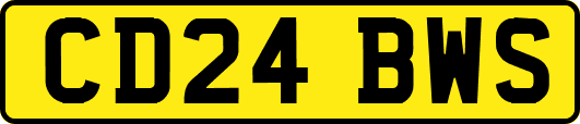 CD24BWS