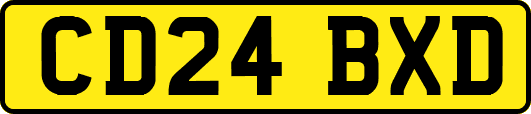 CD24BXD