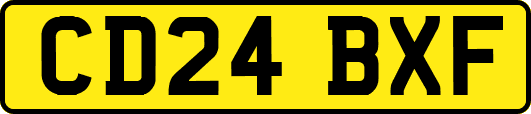 CD24BXF