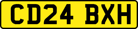 CD24BXH
