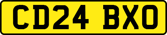 CD24BXO
