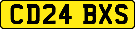 CD24BXS