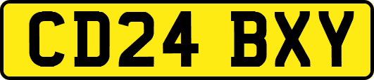 CD24BXY