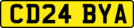 CD24BYA