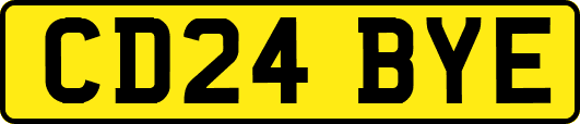 CD24BYE