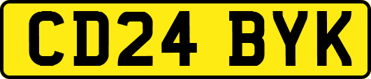 CD24BYK