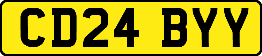 CD24BYY