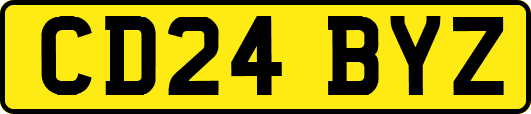 CD24BYZ