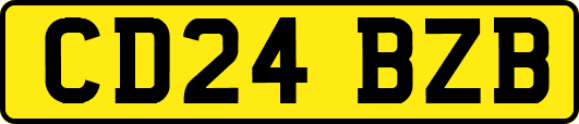 CD24BZB
