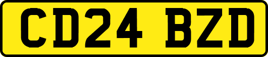 CD24BZD