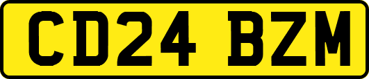 CD24BZM