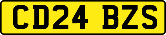 CD24BZS