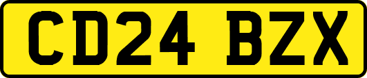 CD24BZX