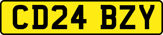 CD24BZY