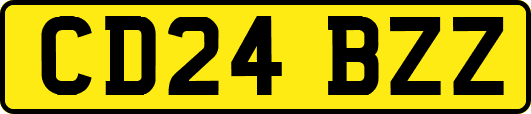 CD24BZZ
