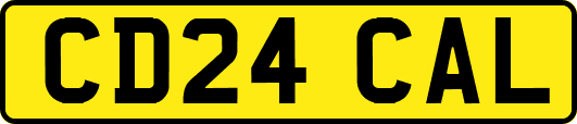 CD24CAL