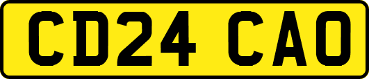 CD24CAO