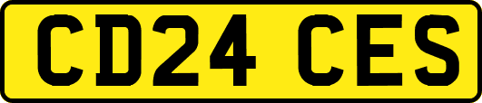 CD24CES
