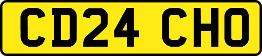 CD24CHO
