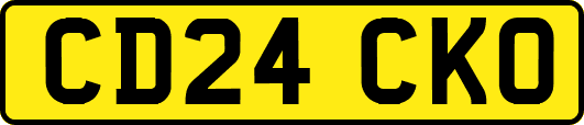 CD24CKO