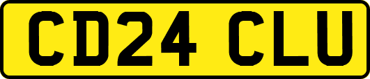 CD24CLU