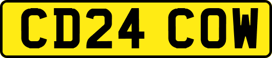 CD24COW