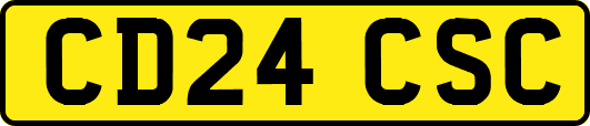CD24CSC