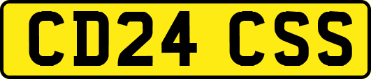 CD24CSS