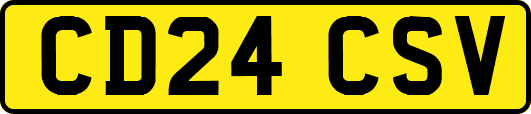 CD24CSV