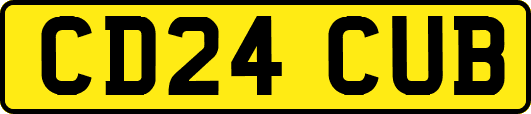 CD24CUB