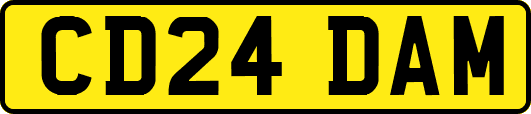 CD24DAM