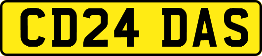 CD24DAS