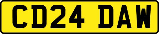 CD24DAW