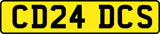 CD24DCS