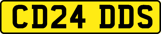 CD24DDS