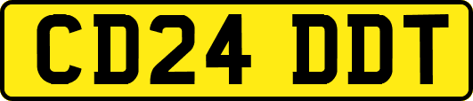 CD24DDT