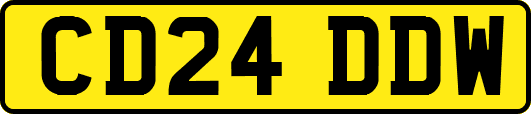 CD24DDW