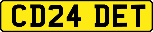 CD24DET