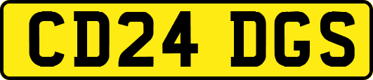 CD24DGS