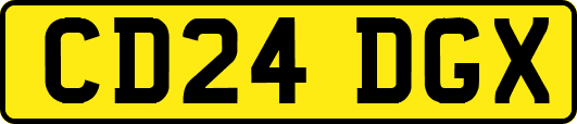 CD24DGX