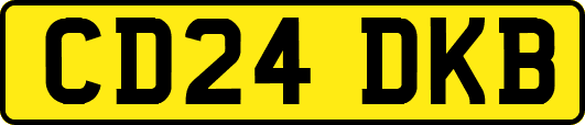 CD24DKB