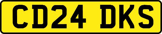 CD24DKS