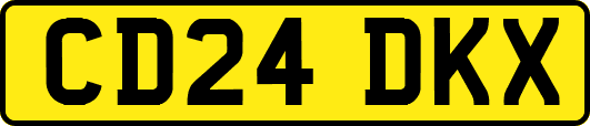 CD24DKX