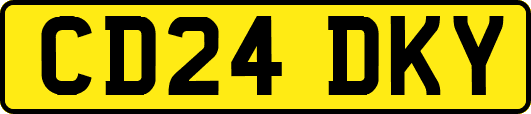 CD24DKY