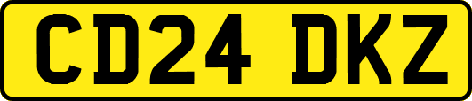 CD24DKZ