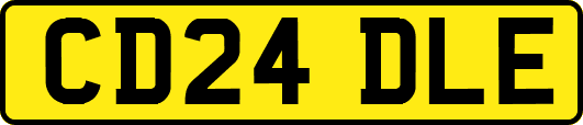 CD24DLE