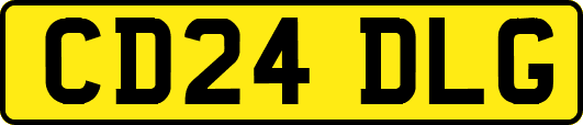 CD24DLG