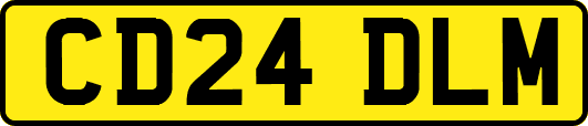 CD24DLM